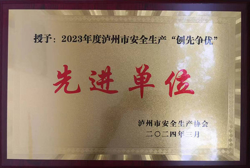 2023年度瀘州市安全生產“創先爭優”先進單位(圖1)