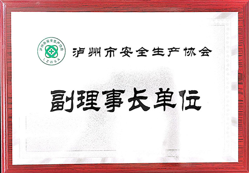 瀘州市安全生產協會副理事長單位(圖1)